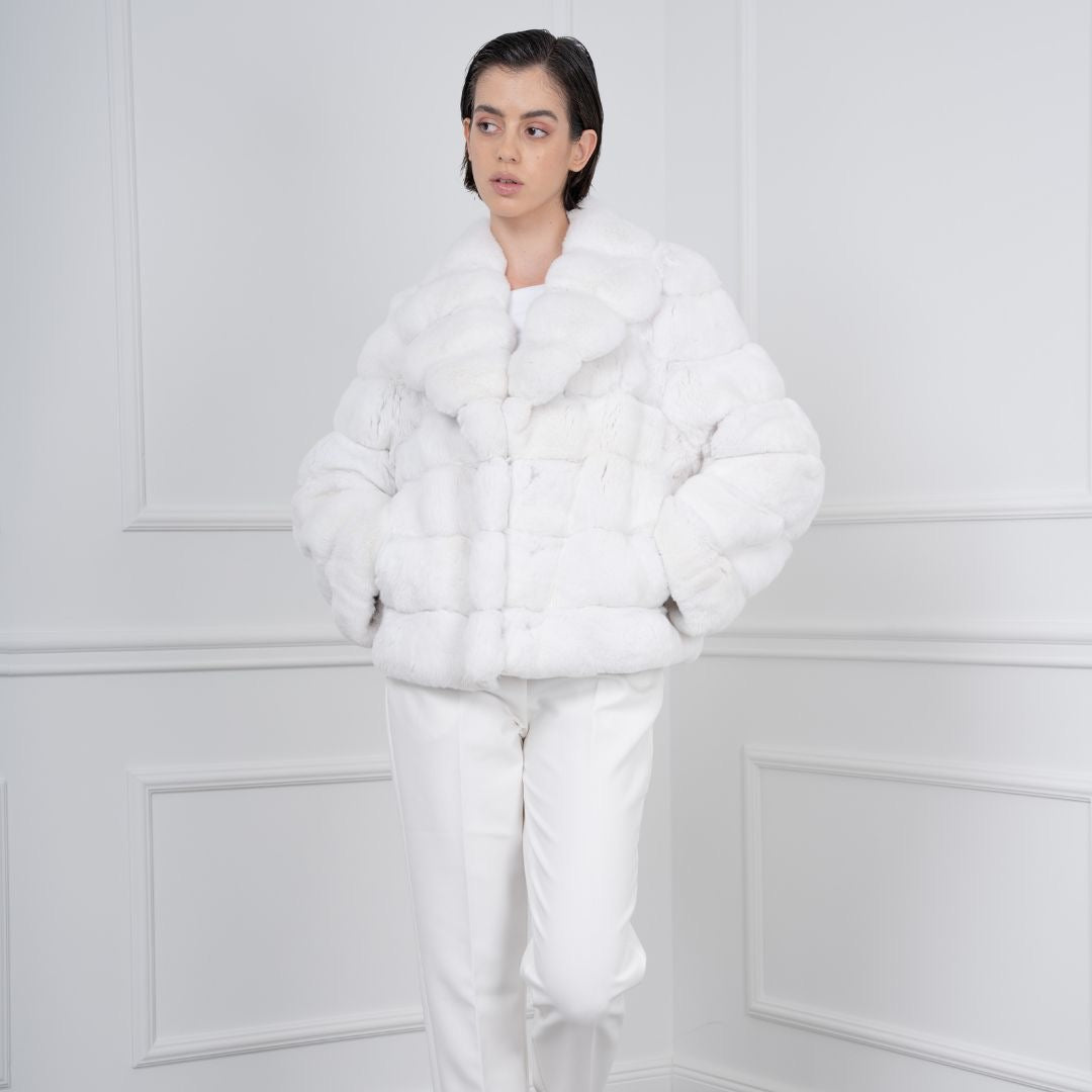 Rex chincilla white
