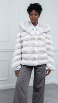 Rex chinchilla white hood