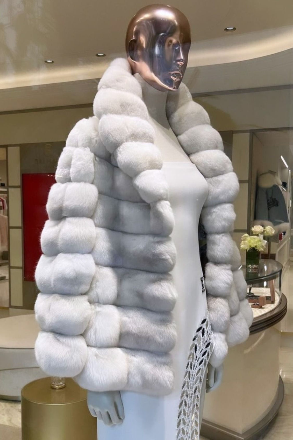 Rex chincilla white