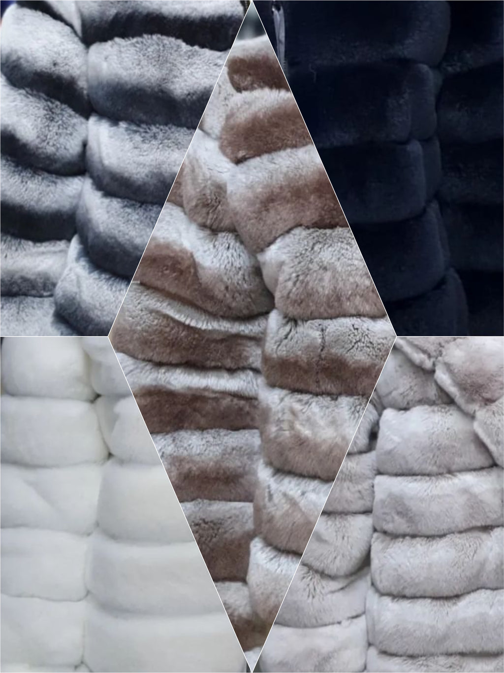 Rex Chinchilla beige